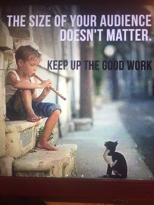 poster of kid playing flute to a cat